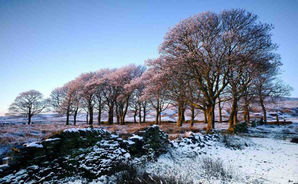 Rochdale